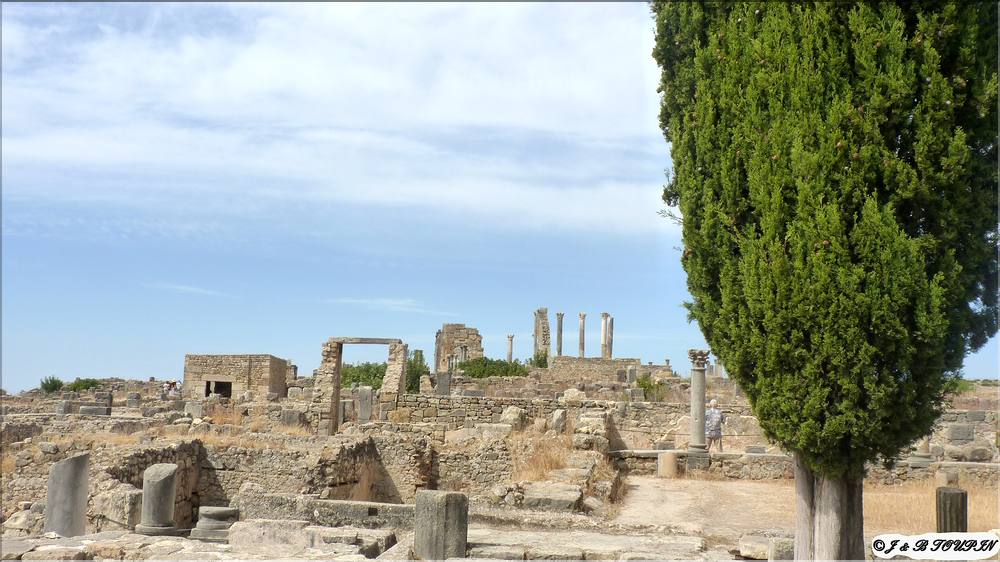 Volibilis - Le site romain